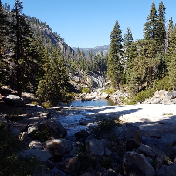 Meet your Posher, Whitney - Picture 1 of 1